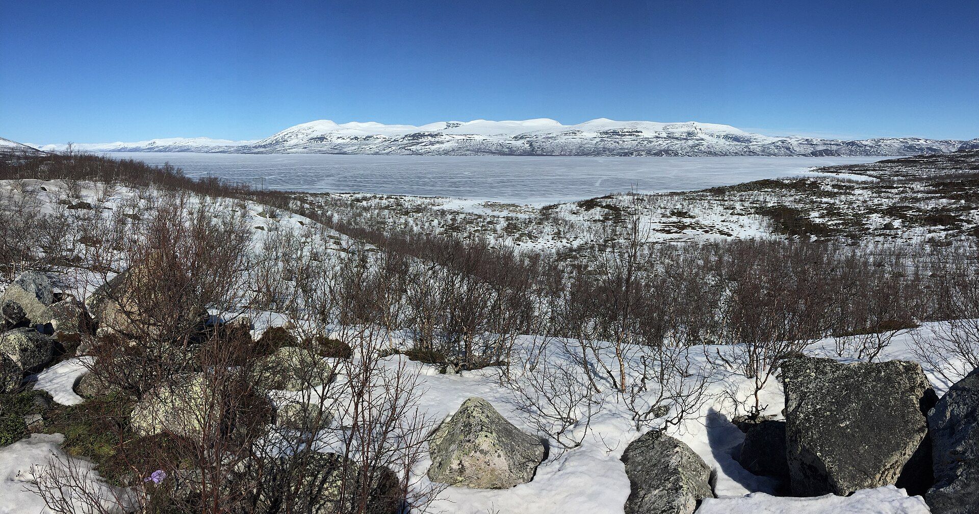 Abisko, Swedish Lapland, above the Arctic Circle, Sweden
