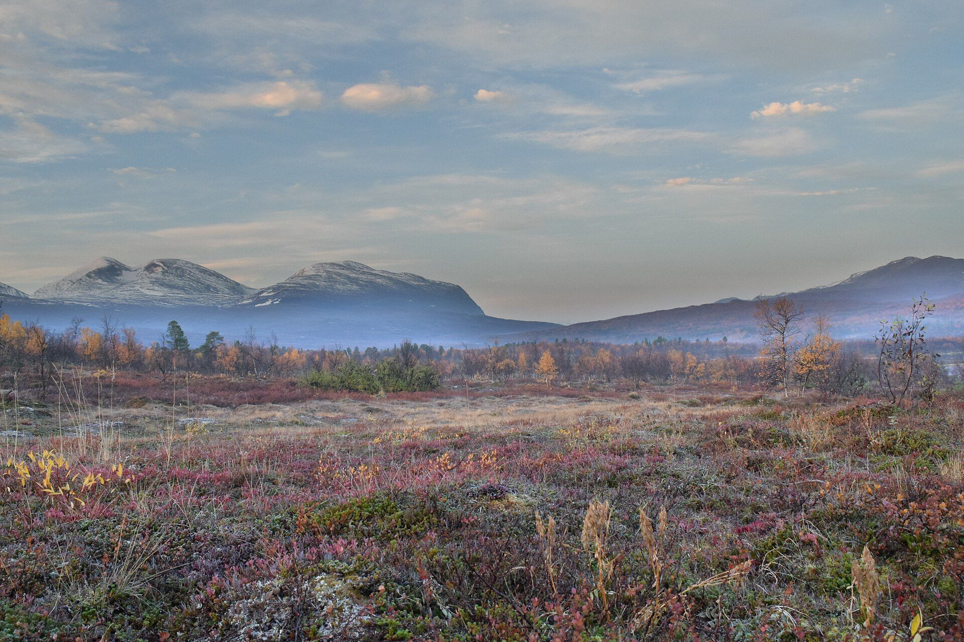 Abisko, Swedish Lapland, above the Arctic Circle, Sweden