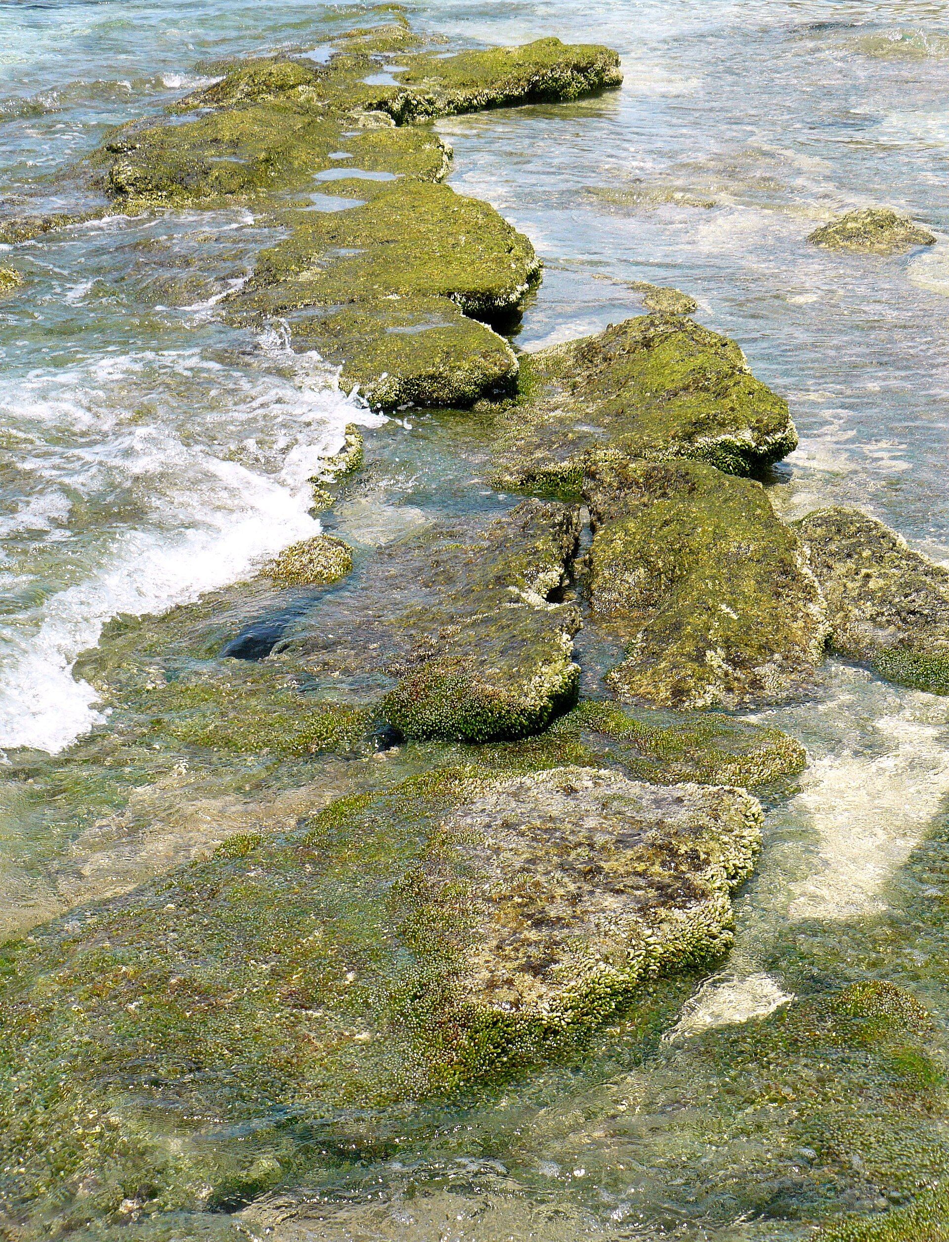 Balicasag Island, Panglao, Bohol, Central Visayas