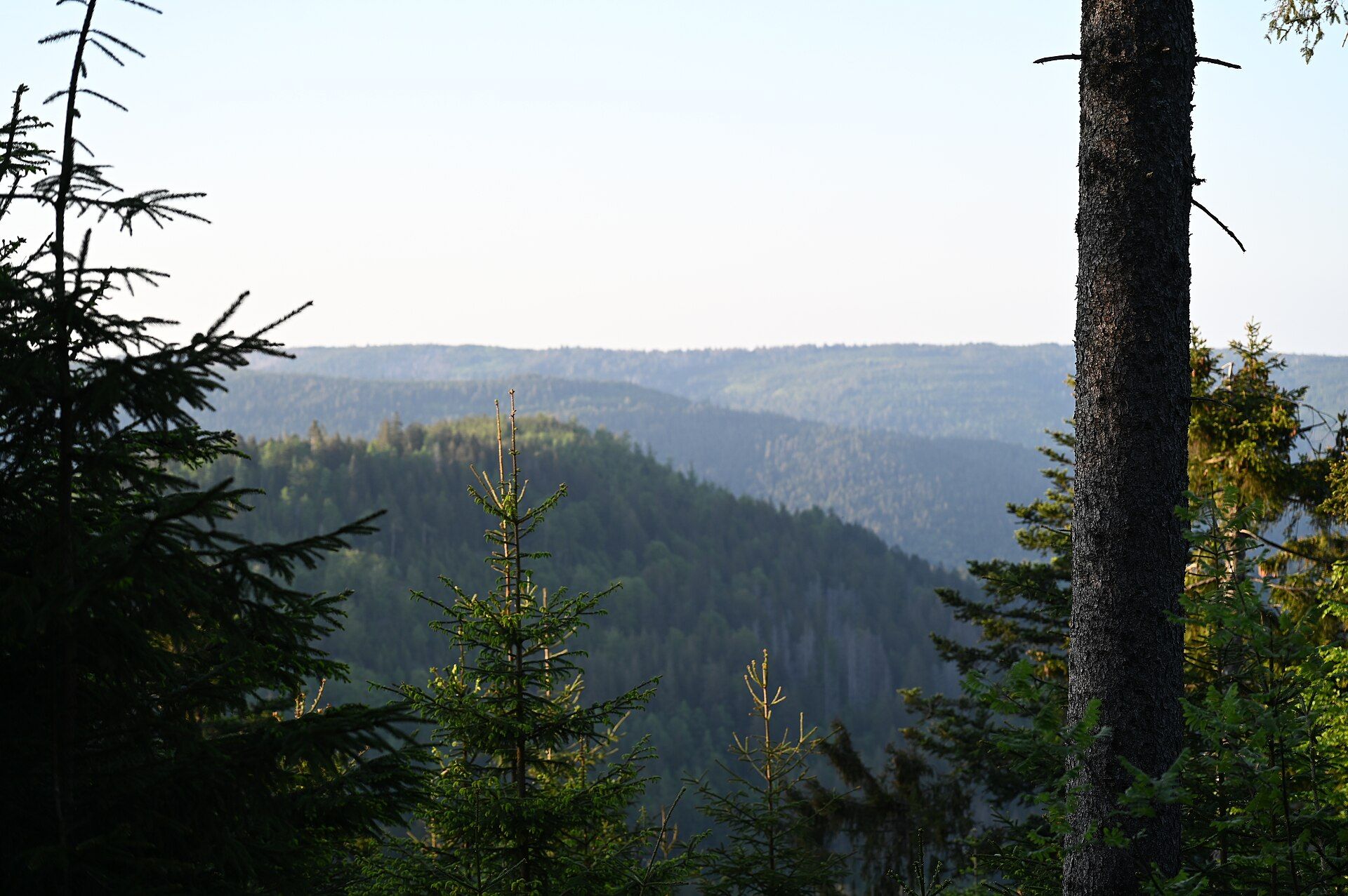 The Black Forest, Baden-Württemberg, southwest Germany