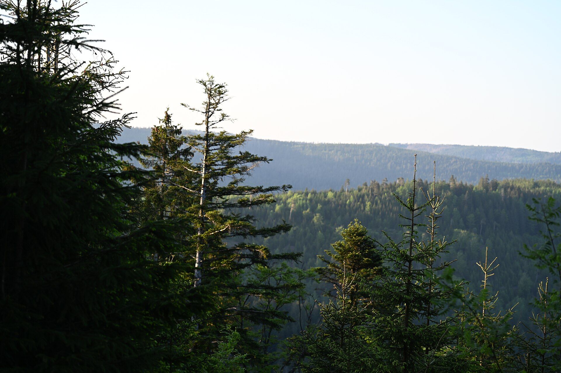 The Black Forest, Baden-Württemberg, southwest Germany