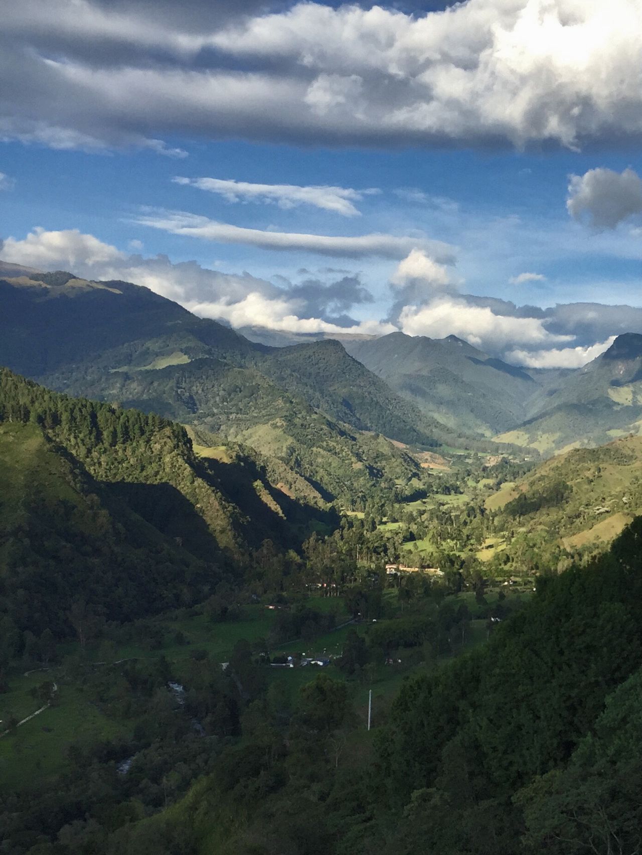 Cocora Valley, Quindío, Coffee Region, Colombia