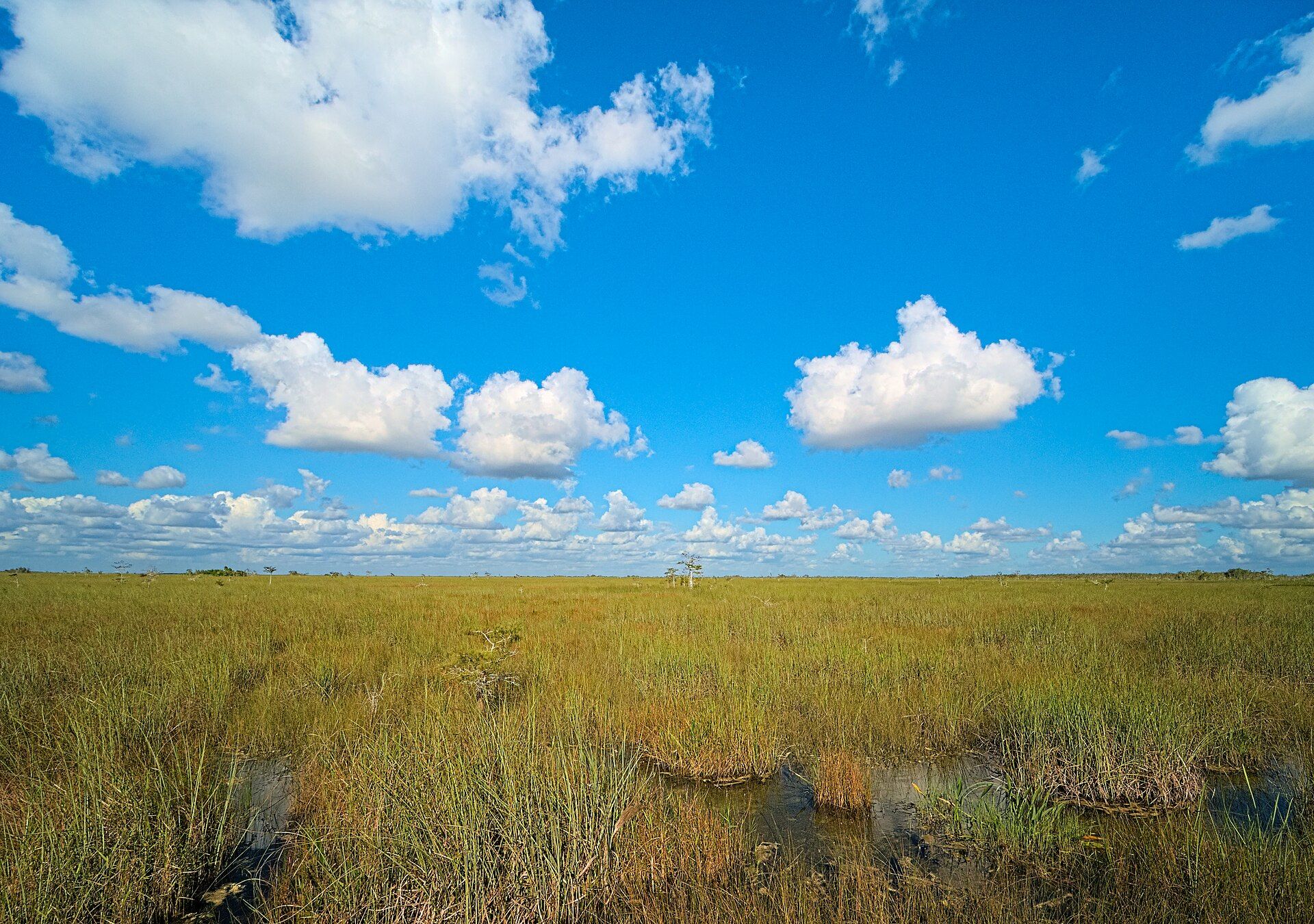 The Everglades, Florida, United States
