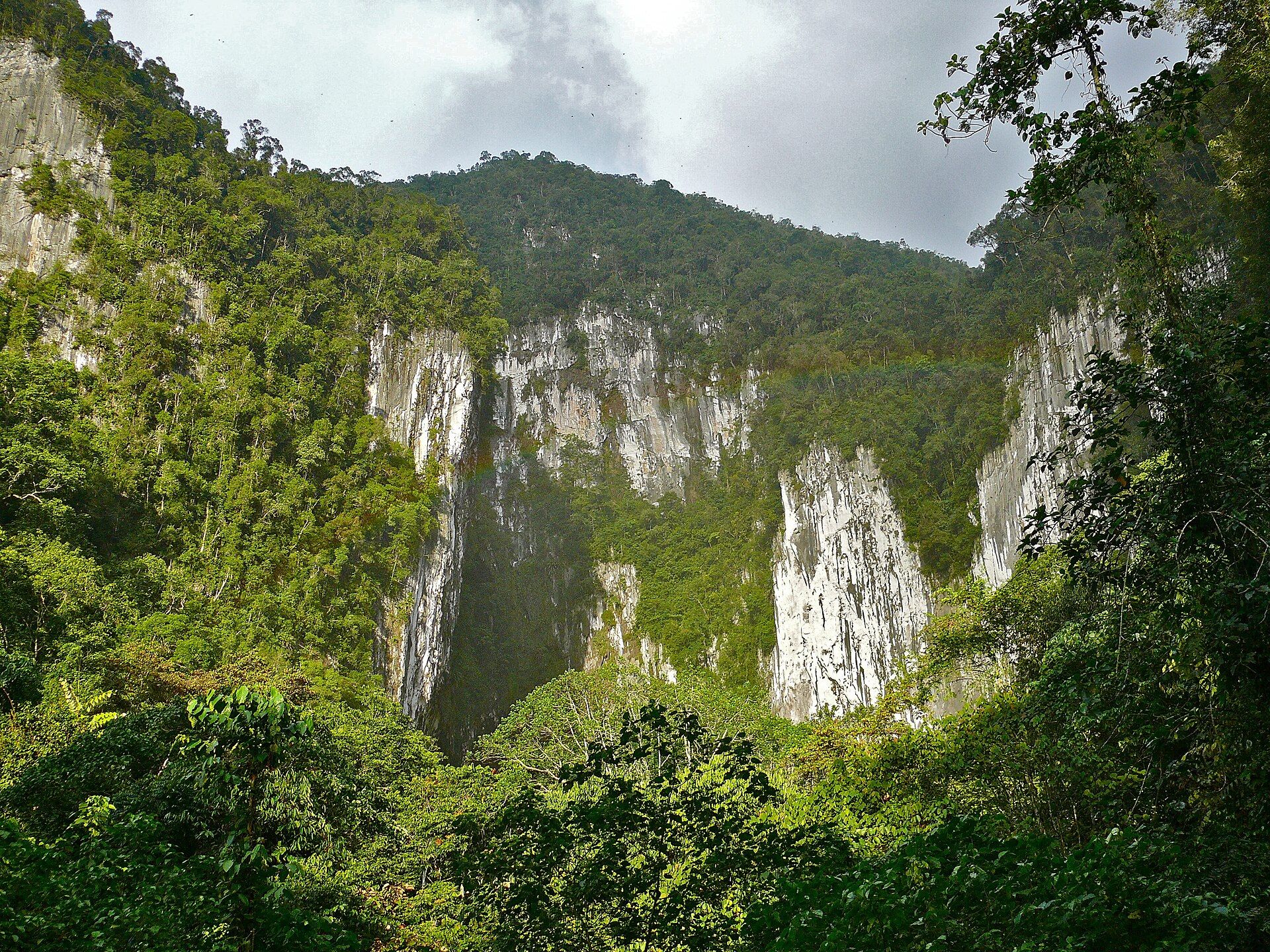 Gunung Mulu, Sarawak, Borneo, Malaysia