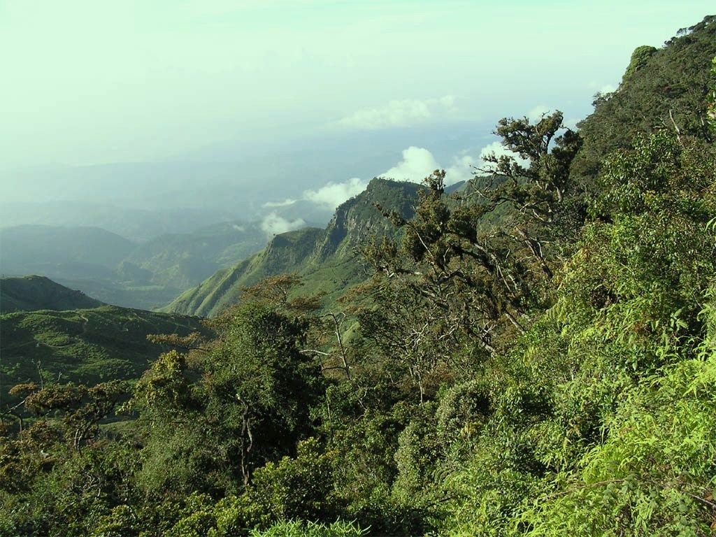 Horton Plains & World's End, Central Highlands, Sri Lanka