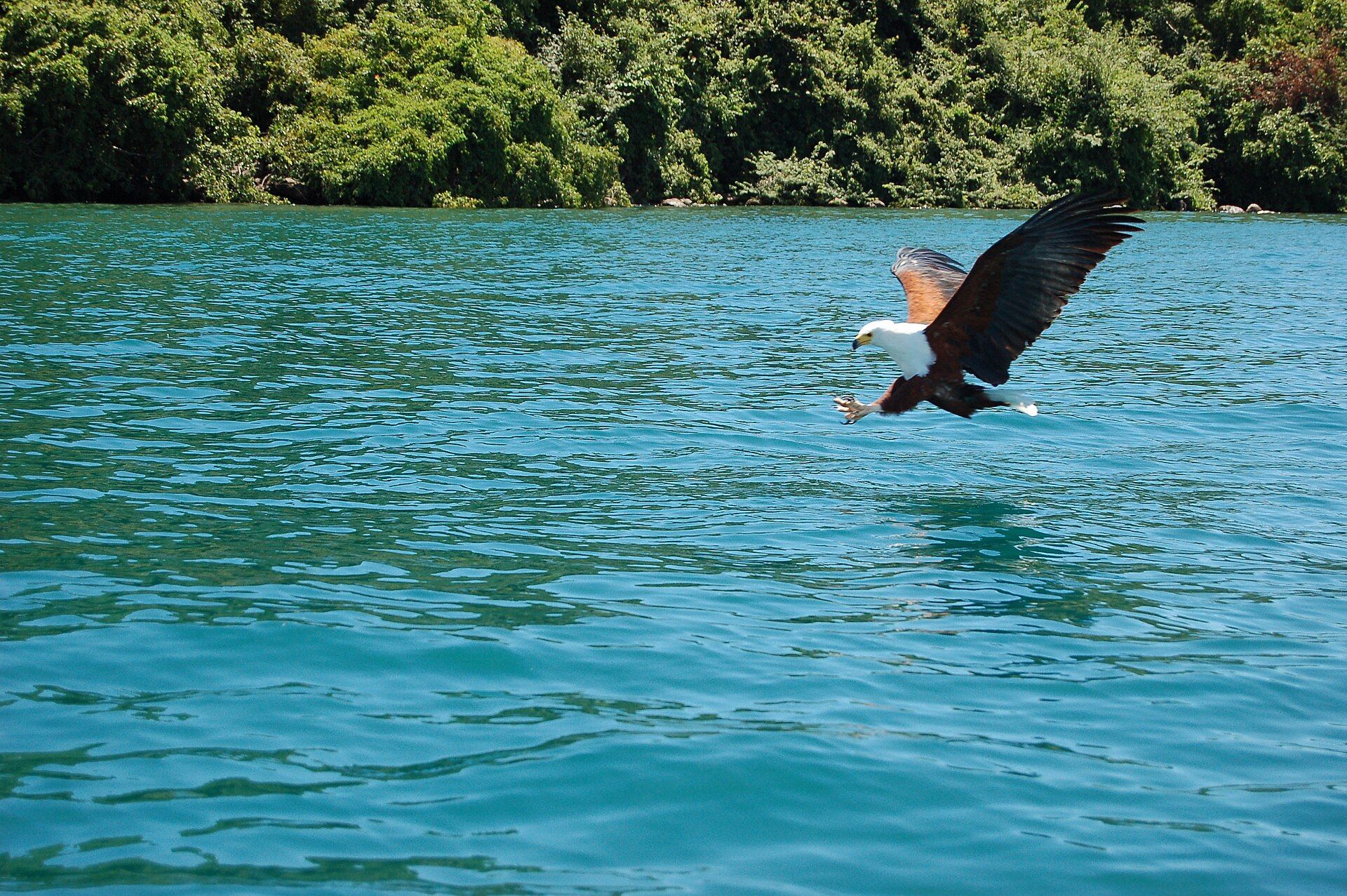 Lake Malawi, Malawi, Mozambique & Tanzania