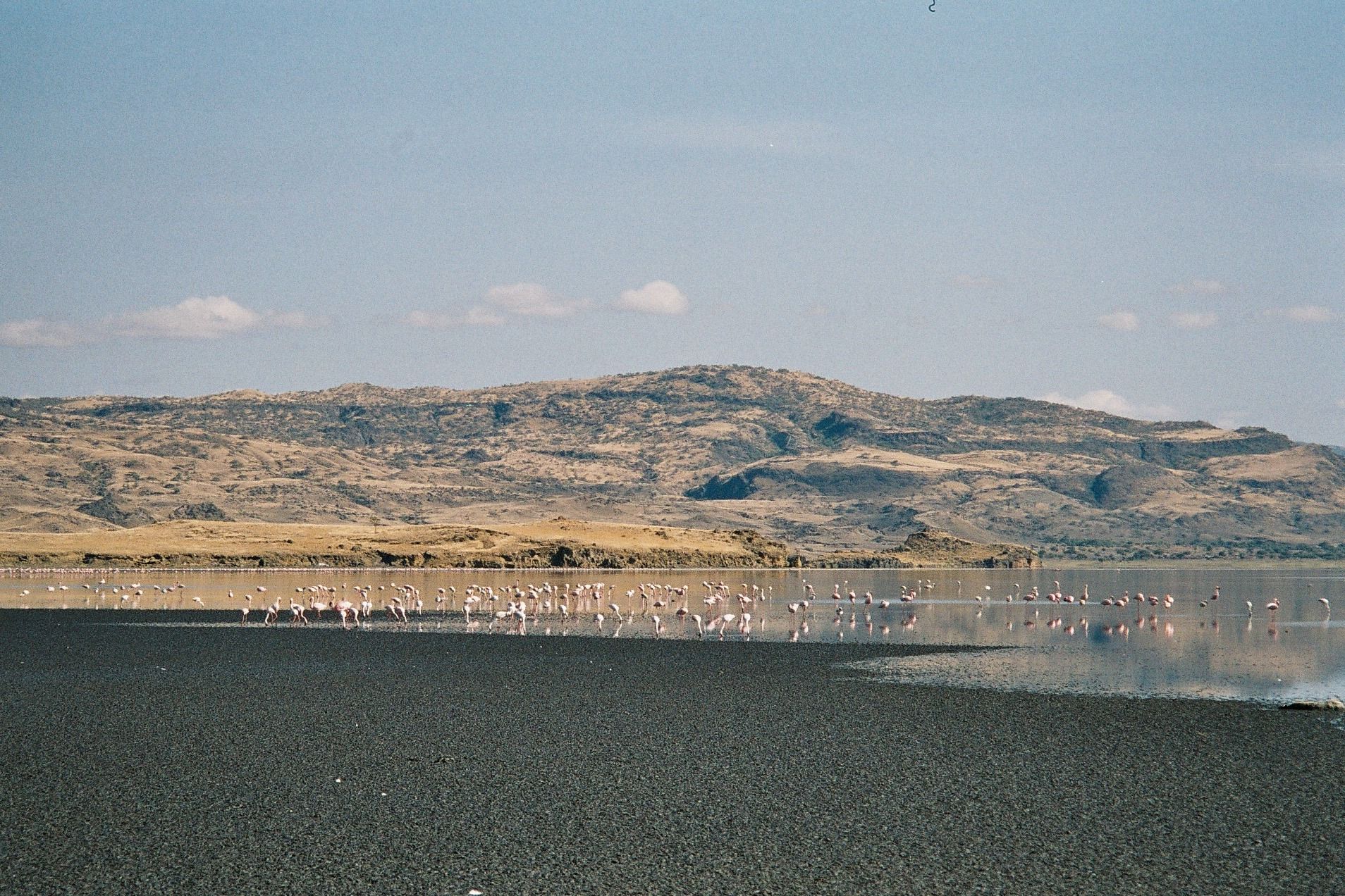 Lake Natron, Arusha Region, northern Tanzania
