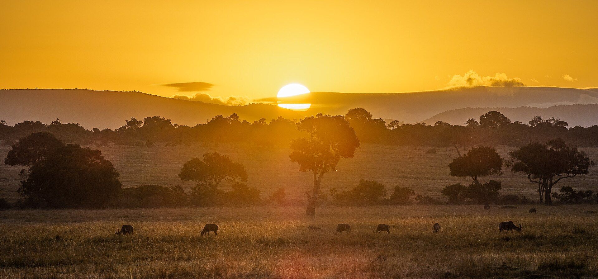 Masai Mara, Narok County, southwestern Kenya