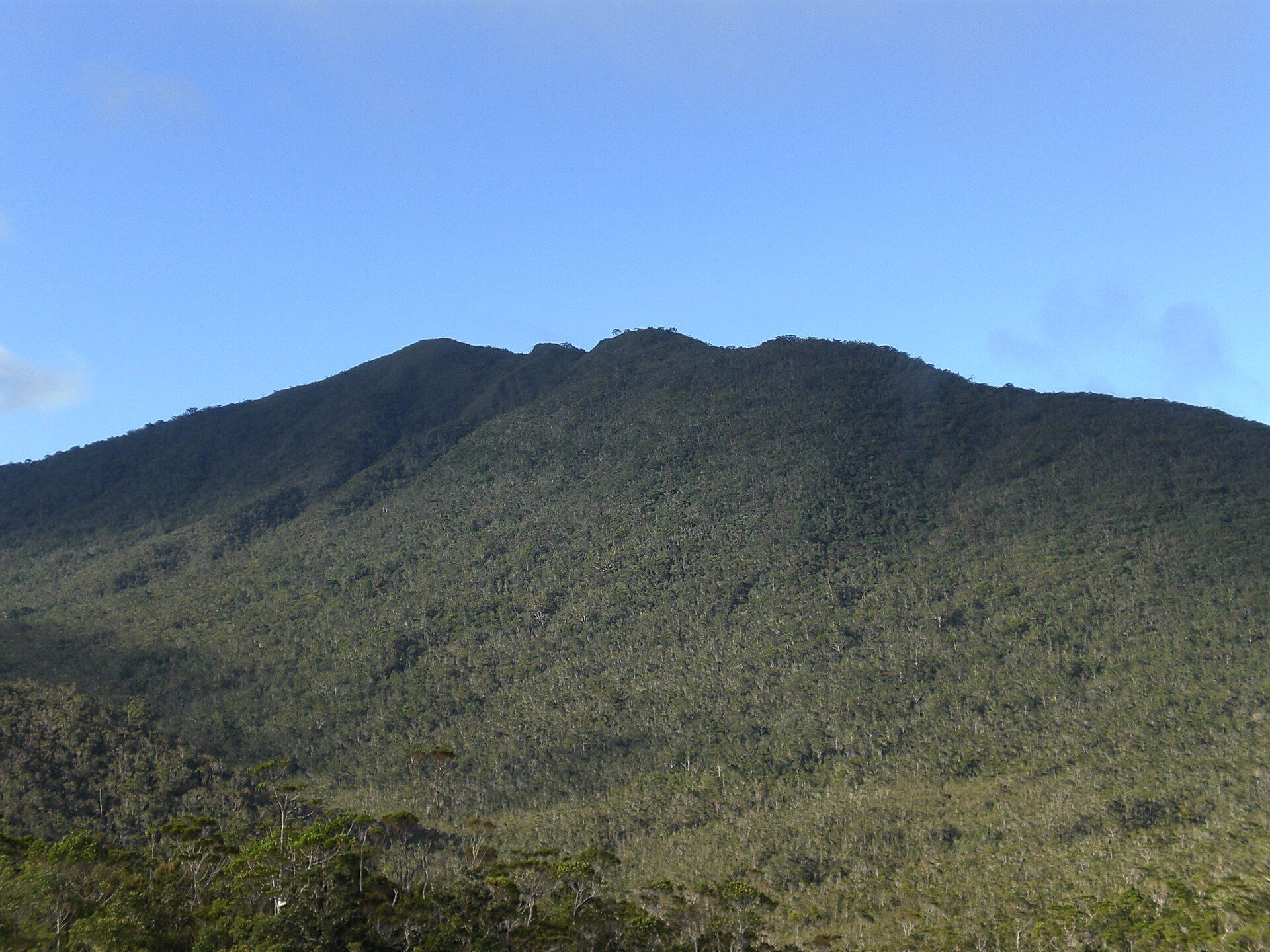 Mount Hamiguitan Range, Davao Oriental, Mindanao