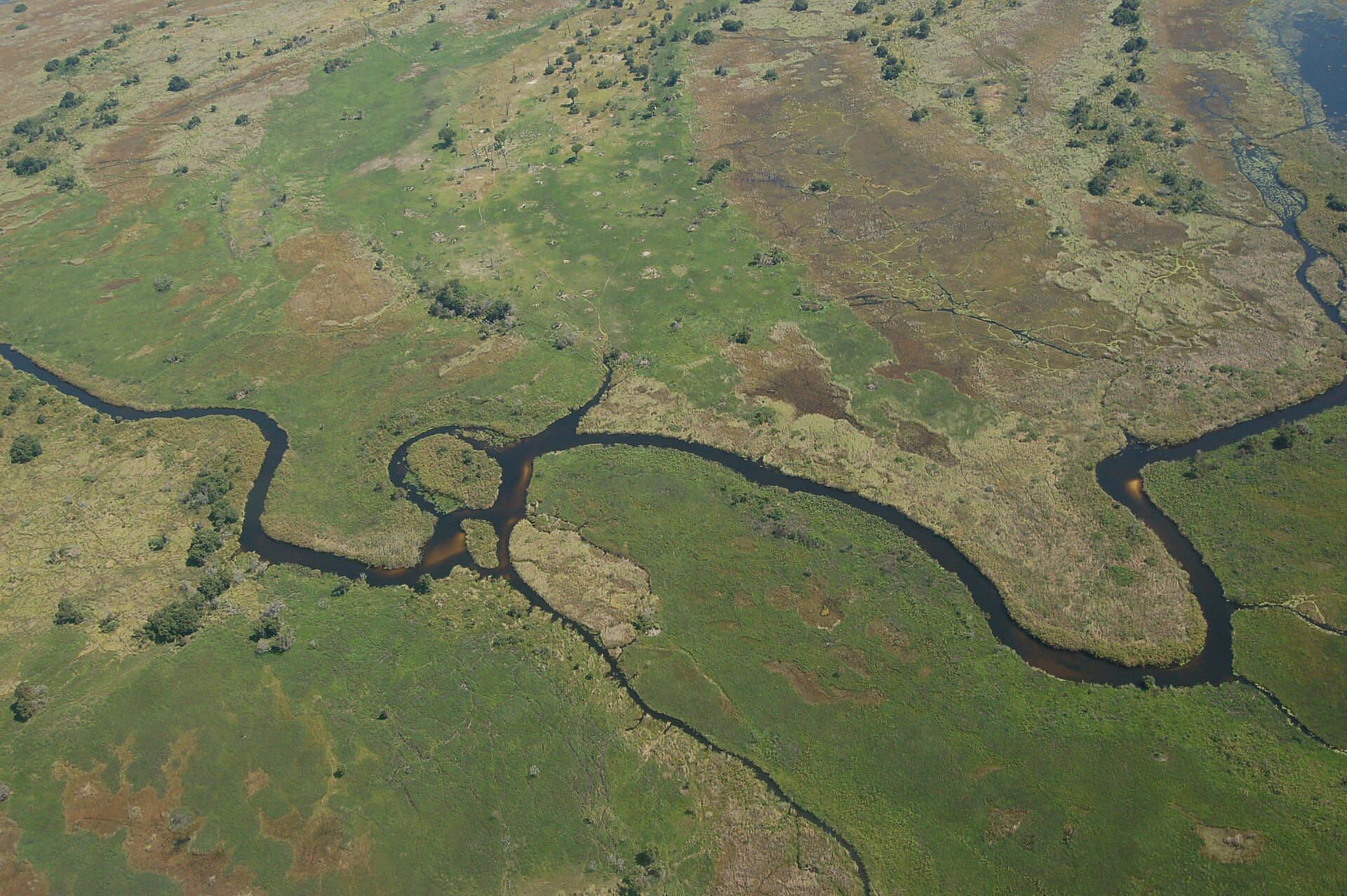 Okavango Delta, Northern Botswana