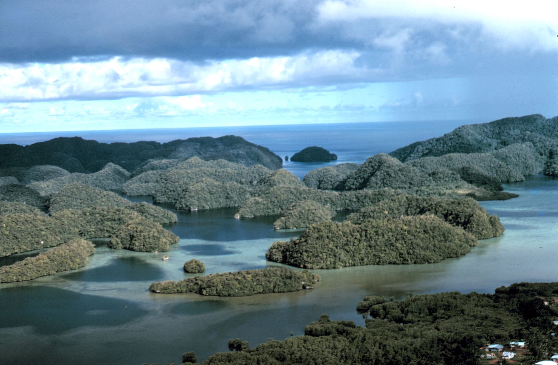 Palau's Rock Islands, Rock Islands Southern Lagoon, Palau, Micronesia