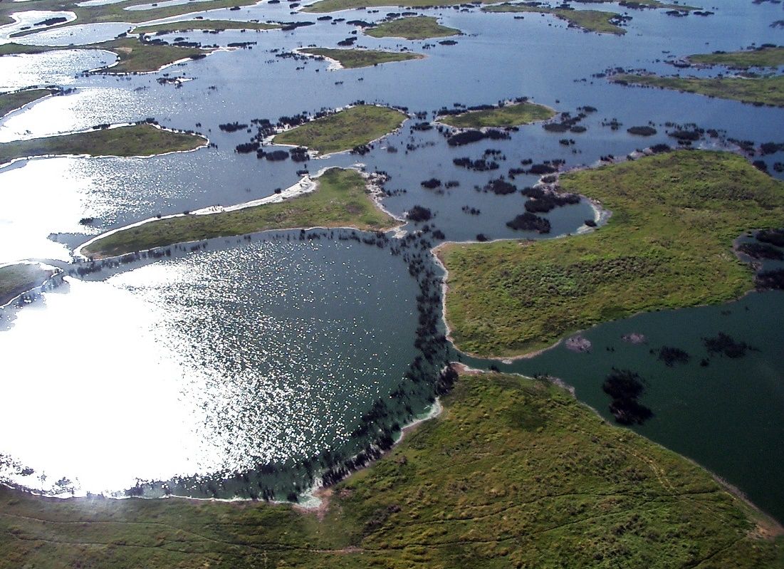 The Pantanal, Mato Grosso & Mato Grosso do Sul, Brazil
