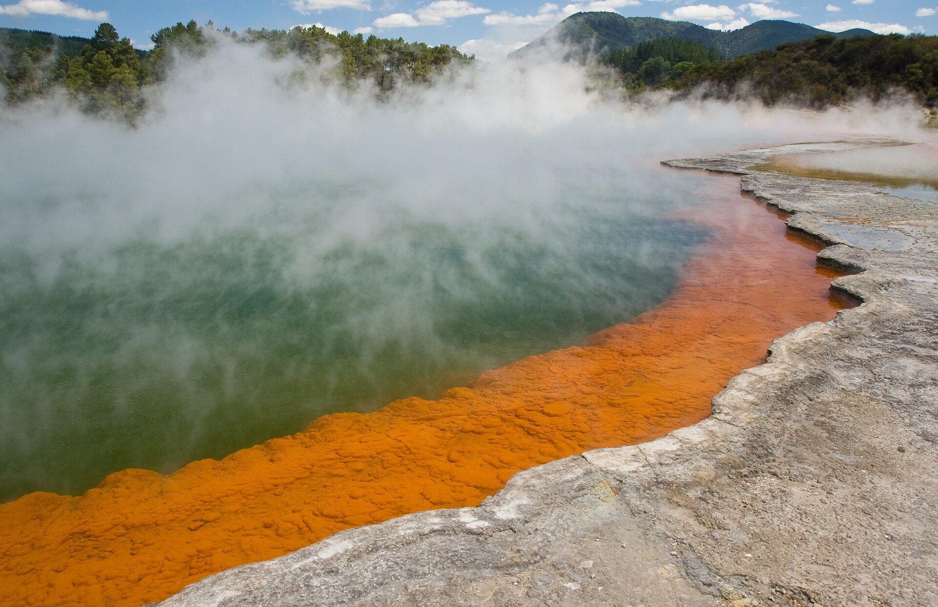 Rotorua Geothermal Field, Bay of Plenty, North Island, New Zealand