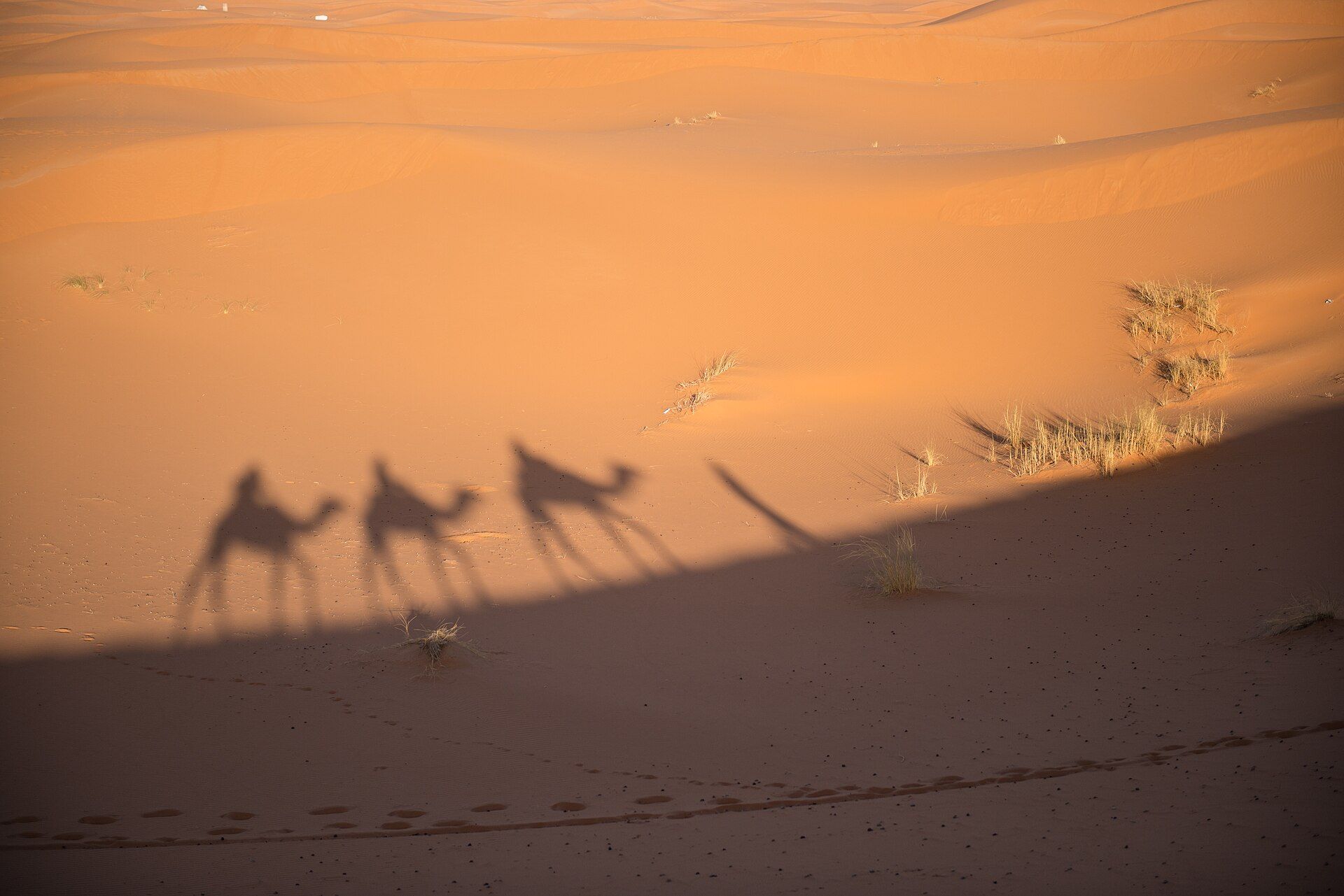 The Sahara (Erg Chebbi), Merzouga / Erg Chebbi, southeastern Morocco