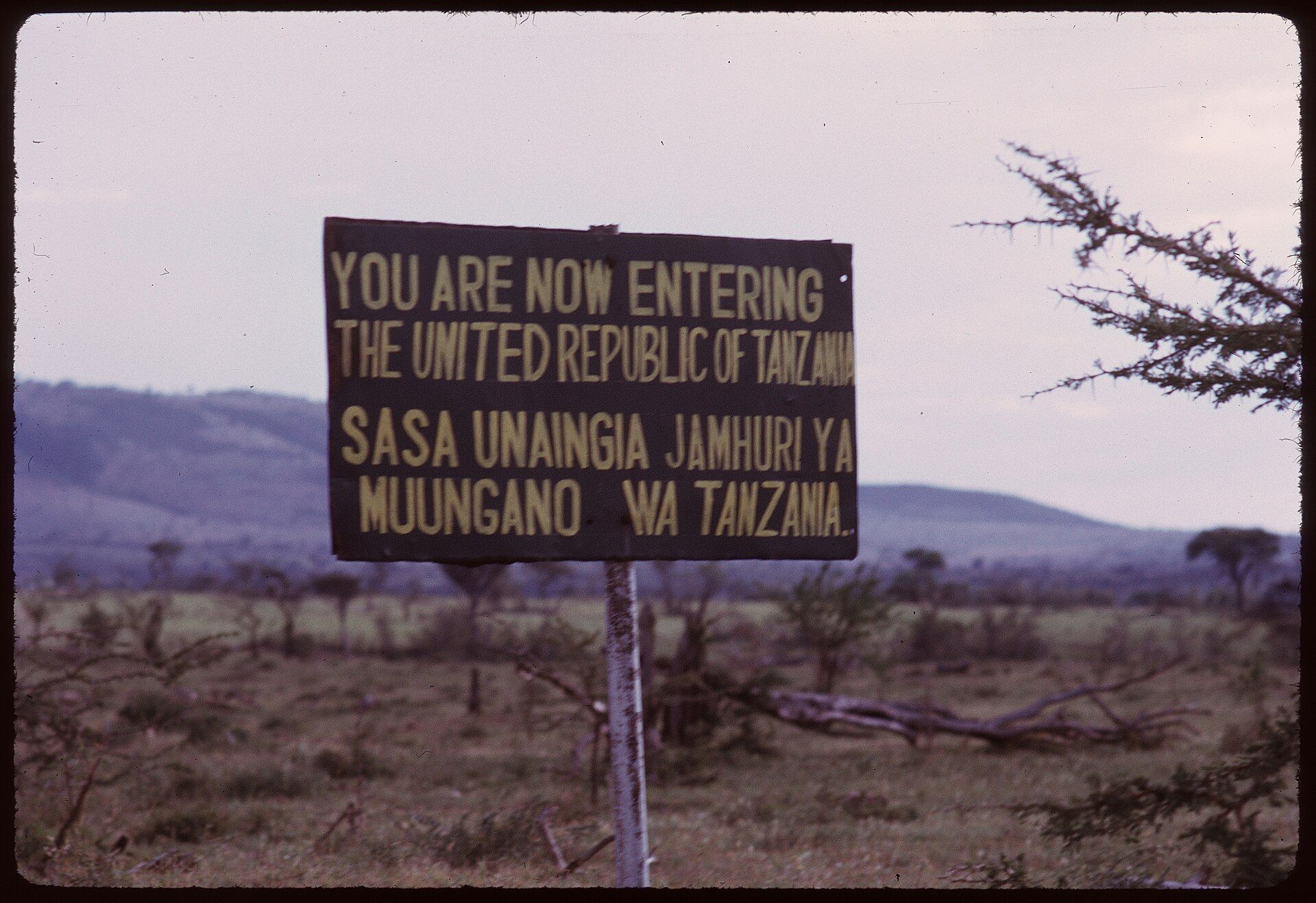 Serengeti, Northern Tanzania