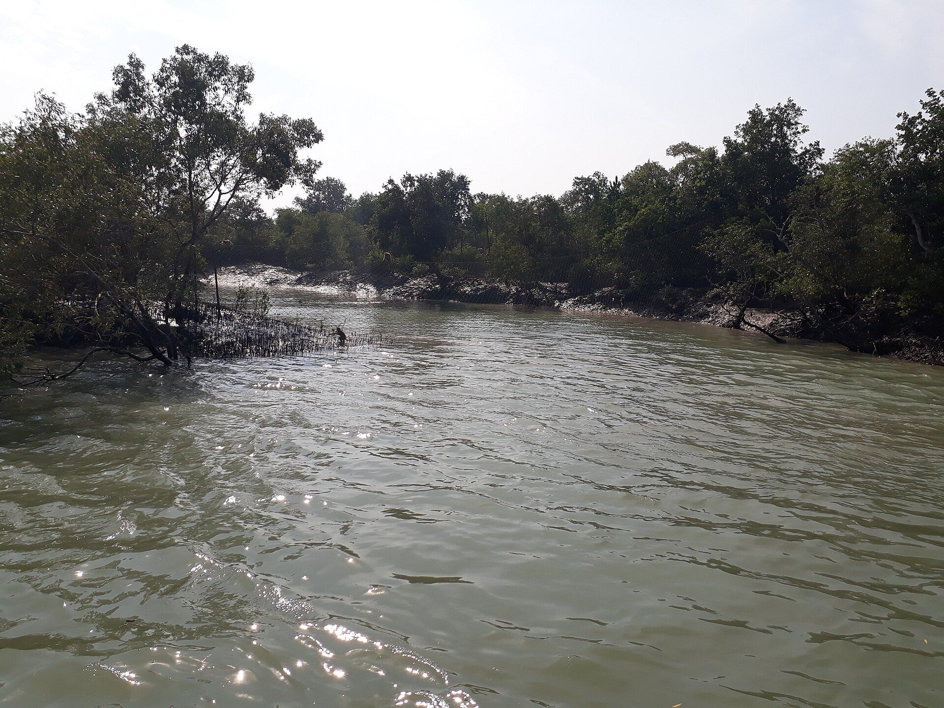 The Sundarbans, Ganges–Brahmaputra Delta, Bangladesh (and India)