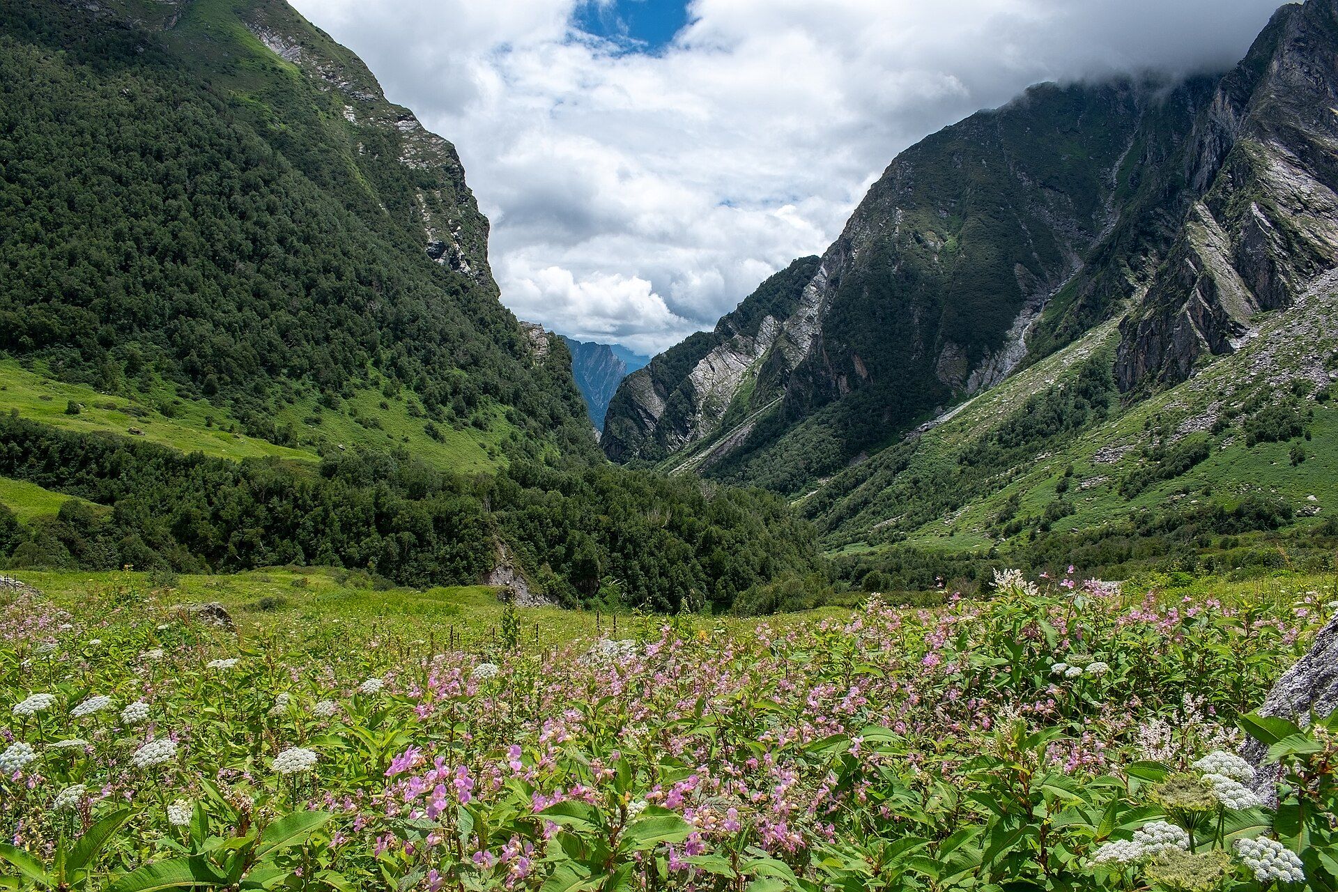 Valley of Flowers, Uttarakhand, India